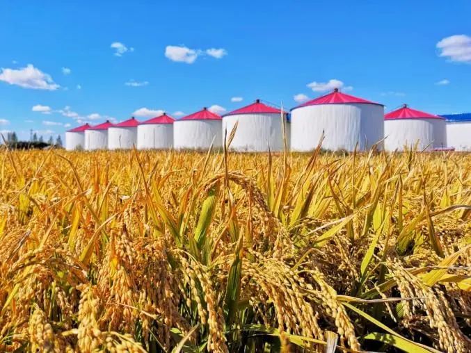 【安全作業(yè)】糧庫中的那些有害因素 【安全作業(yè)】糧庫中的那些有害因素